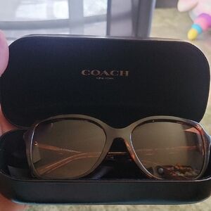 Coach Dark Brown Sunglasses